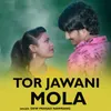 Tor Jawani Mola